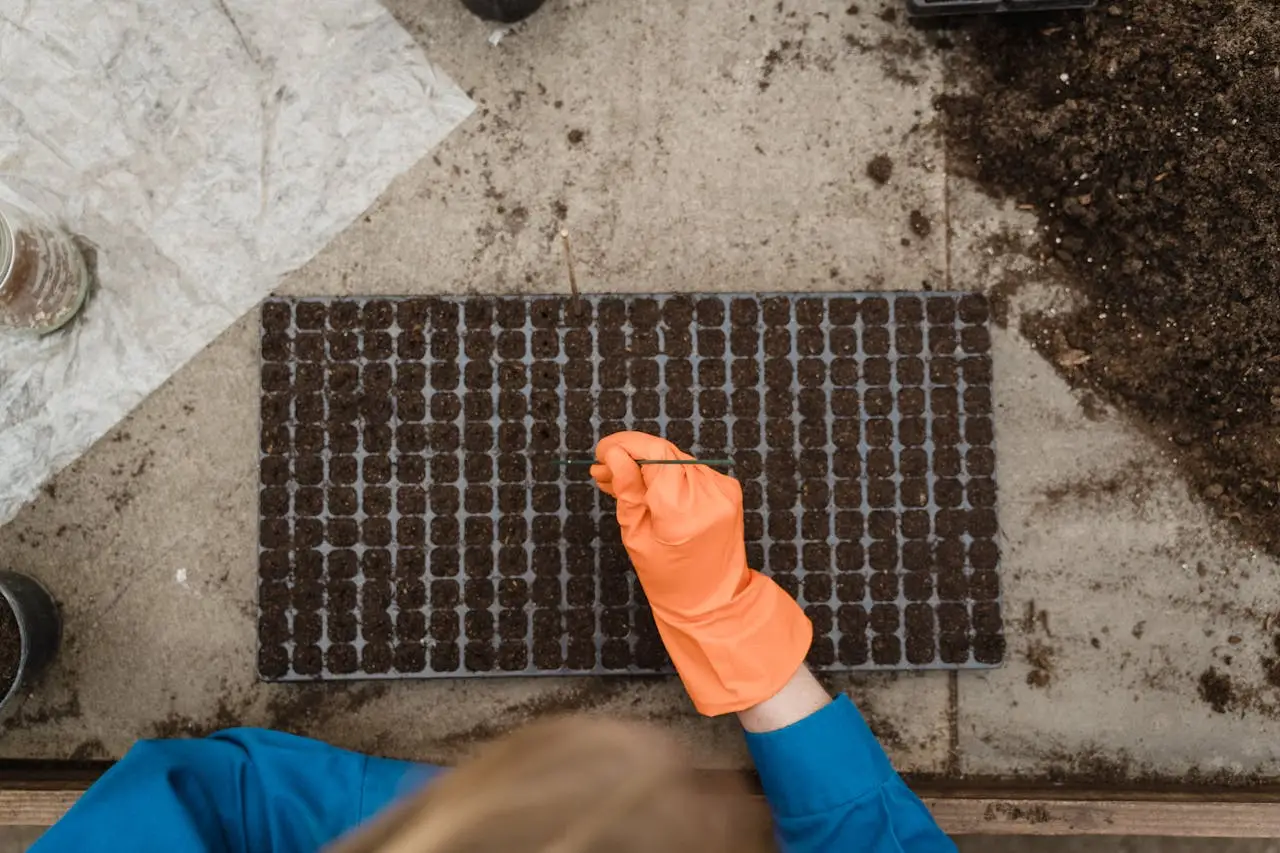 Customized plastic seedling trays manufactured for greenhouse and nursery B2B clients