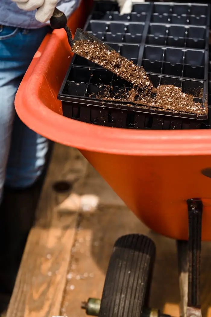 services-02 From above of crop unrecognizable gardener pouring soil into black plastic box in greenhouse